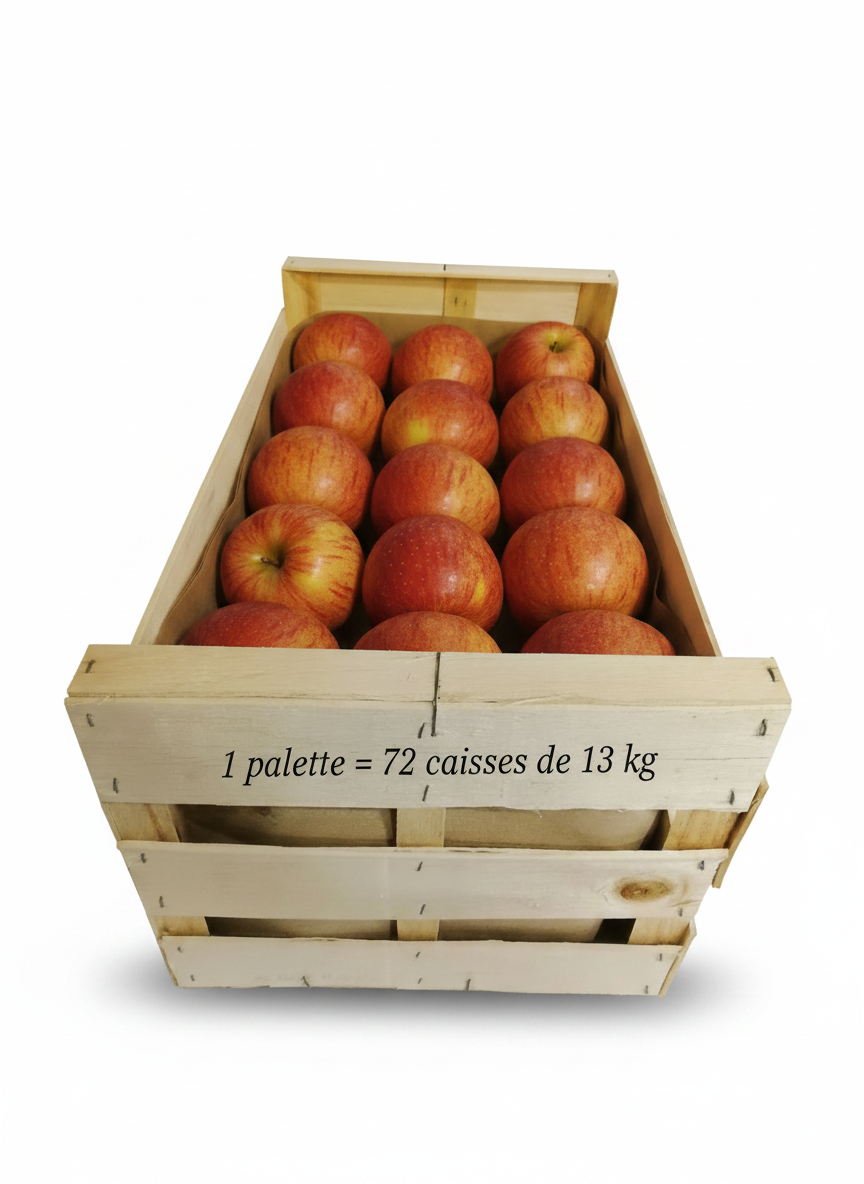 Pomme Royal Gala : Caisse de 13kg