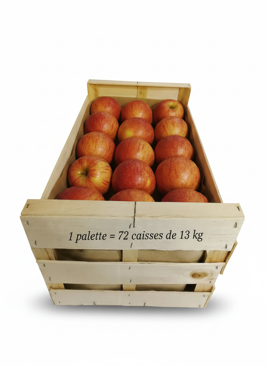 Pomme Royal Gala : Caisse de 13kg