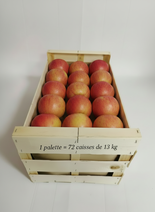 Pomme Pink Lady : Caisse 13Kg