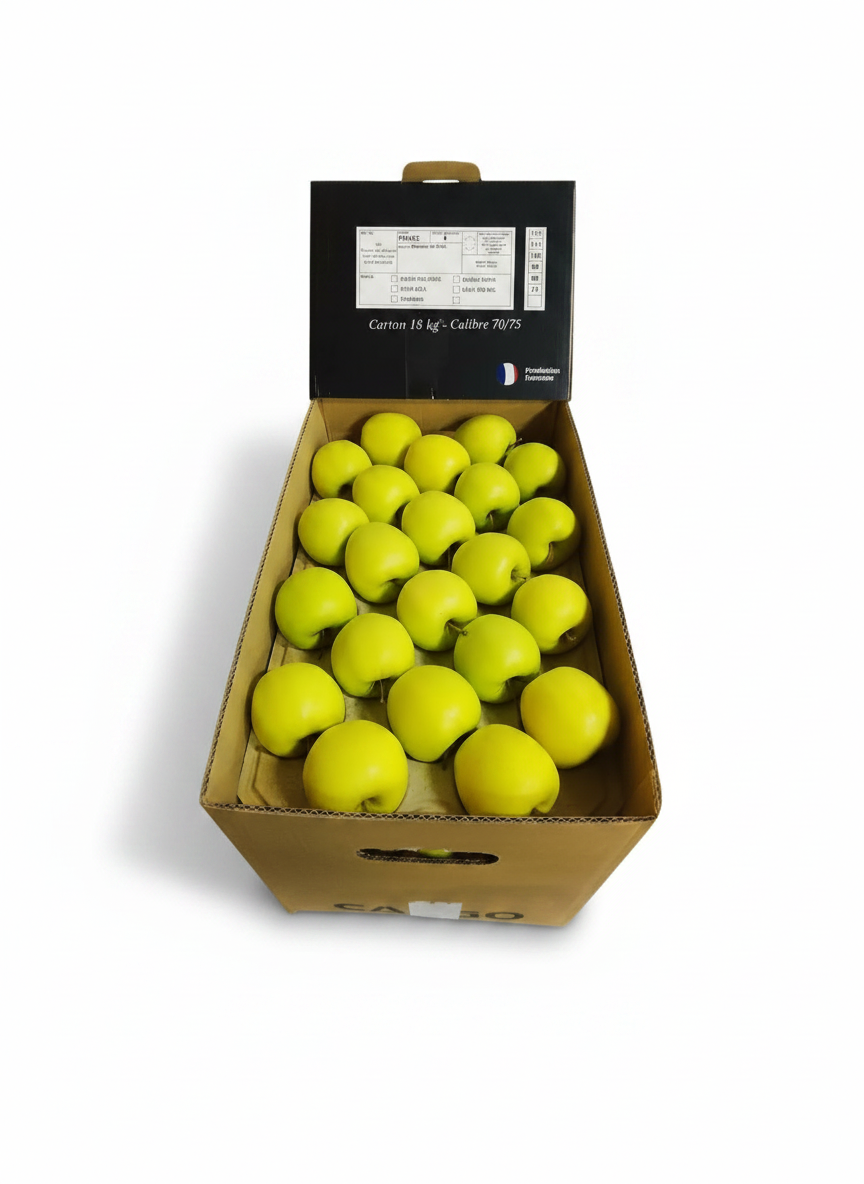 Pomme Golden : carton 18kg