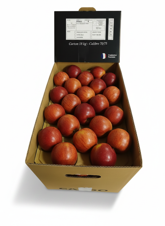 Pomme Royal Gala : carton 18kg