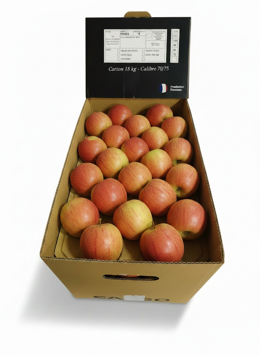 Pomme Pink Lady : carton 18Kg