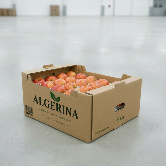 Pomme Royal Gala : Carton de 8Kg