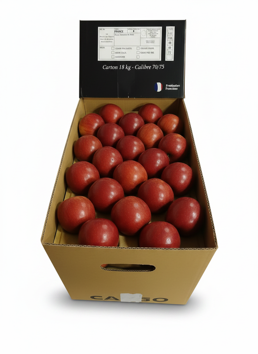 Pomme Red Chief : carton de 18kg